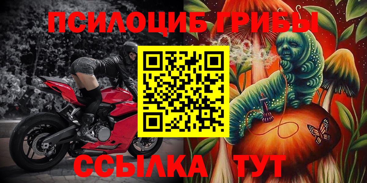 Псилоцибиновые грибы ЛСД  Вход с VPN  Скопин  Галлюциногенные грибы ЛСД 